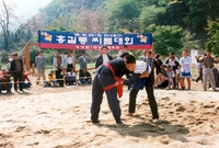 제3회 백양단풍축제