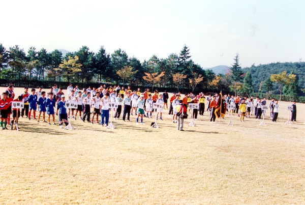 제3회 백양단풍축제