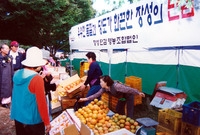 제3회 백양단풍축제