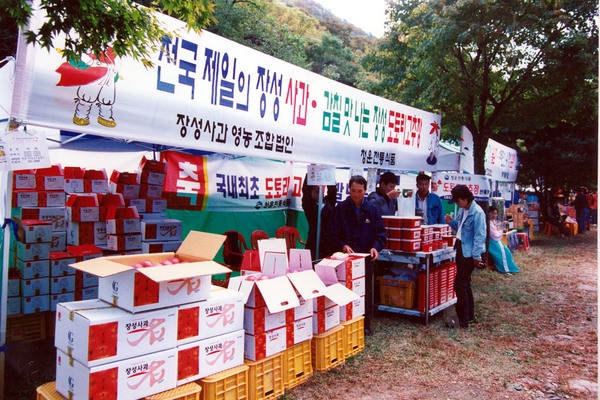 제3회 백양단풍축제