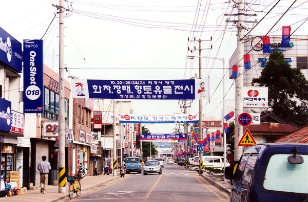 제3회 백양단풍축제