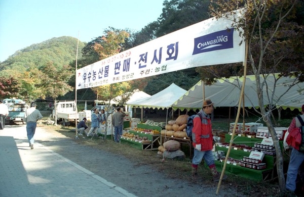 제1회 백양단풍축제