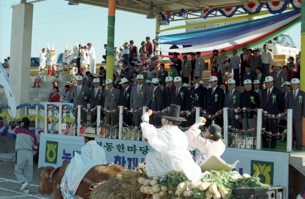 제1회 백양단풍축제