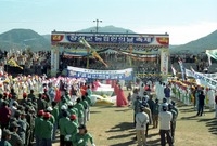 제1회 백양단풍축제