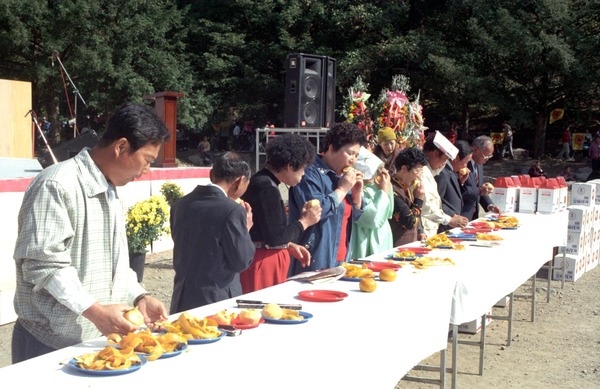 제1회 백양단풍축제