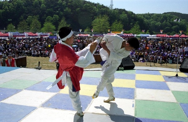 제1회 홍길동축제