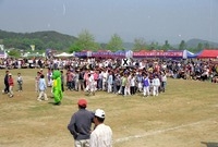 제1회 홍길동축제