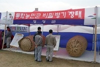 제1회 홍길동축제