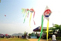 제1회 홍길동축제