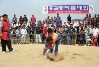 제1회 홍길동축제