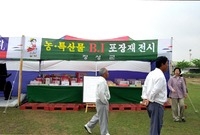 제1회 홍길동축제