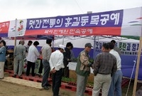 제1회 홍길동축제