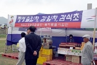 제1회 홍길동축제