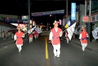 제2회 백양단풍축제(가장행...