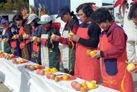 제2회 백양단풍축제