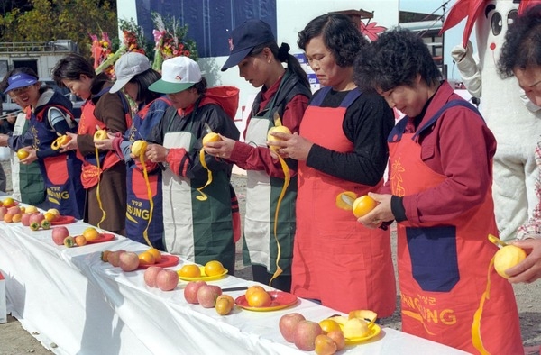 제2회 백양단풍축제