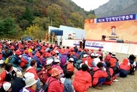 제2회 백양단풍축제