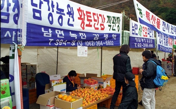 제2회 백양단풍축제