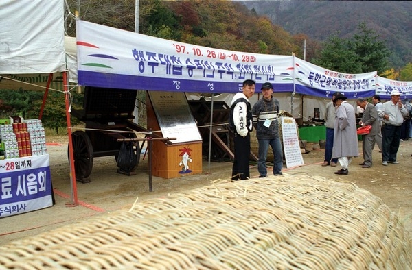 제2회 백양단풍축제