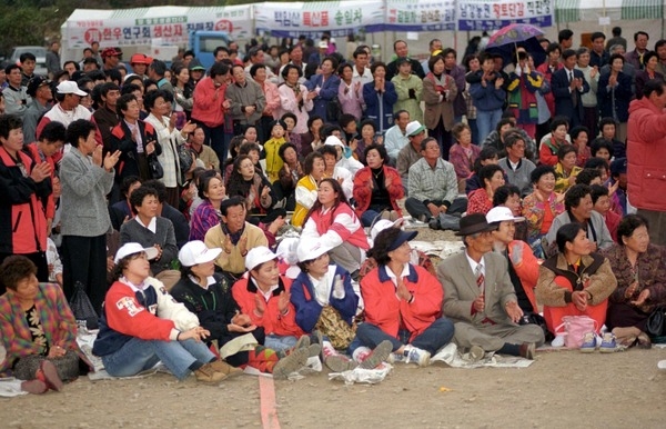 제2회 백양단풍축제