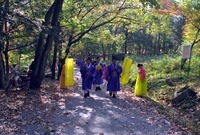 제4회 백양단풍축제