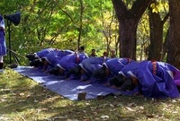 제4회 백양단풍축제