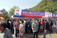 제4회 백양단풍축제