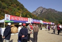 제4회 백양단풍축제