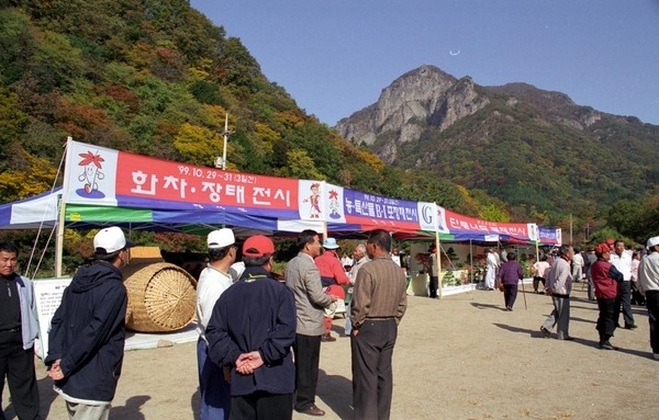 제4회 백양단풍축제