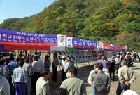 제4회 백양단풍축제