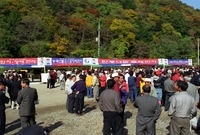 제4회 백양단풍축제