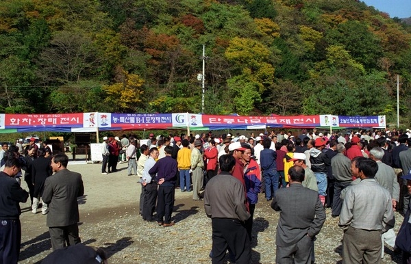제4회 백양단풍축제