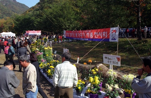 제4회 백양단풍축제