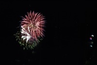제4회 백양단풍축제