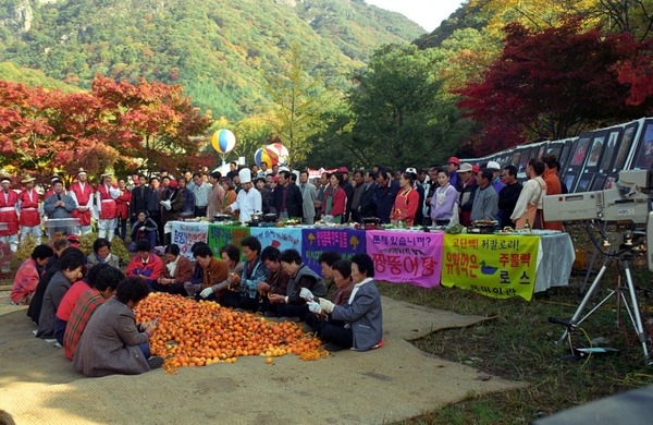 제4회 백양단풍축제