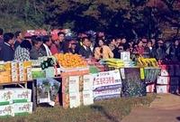 제4회 백양단풍축제