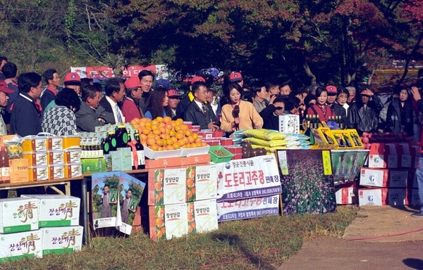 제4회 백양단풍축제