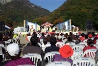 제4회 백양단풍축제