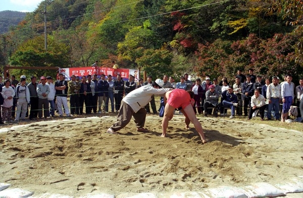 제4회 백양단풍축제