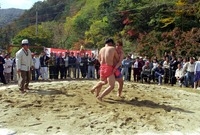 제4회 백양단풍축제