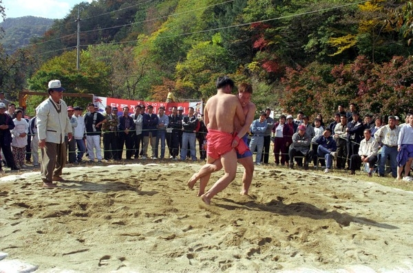 제4회 백양단풍축제