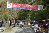 제4회 백양단풍축제