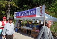 제4회 백양단풍축제