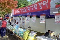 제4회 백양단풍축제