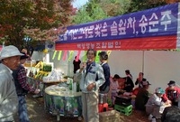 제4회 백양단풍축제