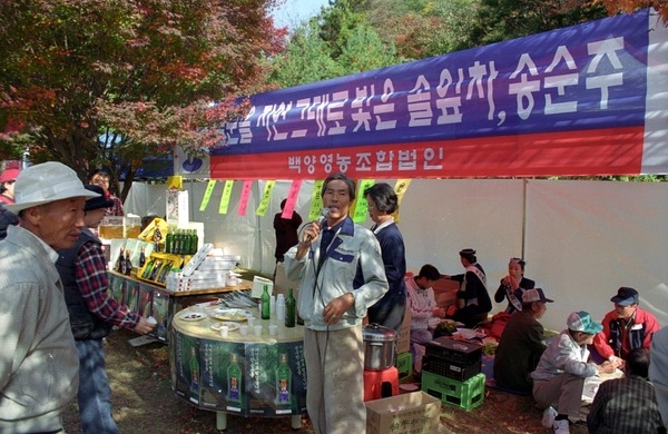 제4회 백양단풍축제