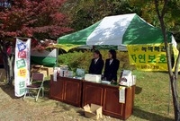 제4회 백양단풍축제