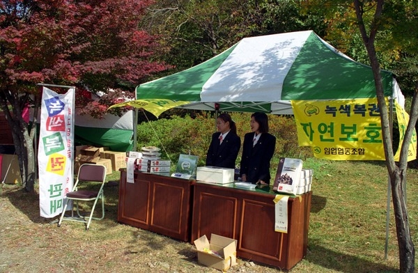 제4회 백양단풍축제
