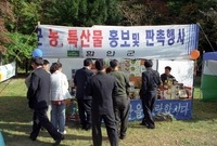 제4회 백양단풍축제