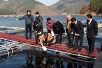 수질오염 수치조사
